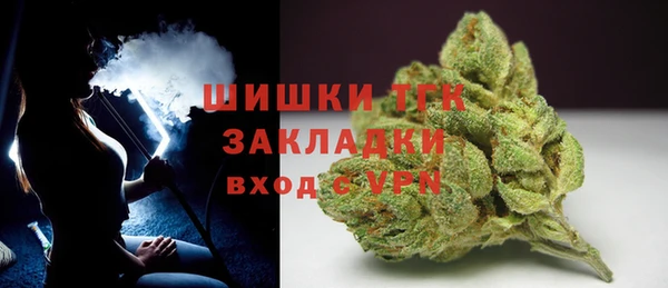 гашик Билибино