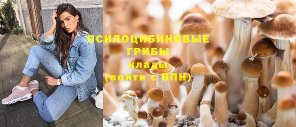 прущая мука Покров