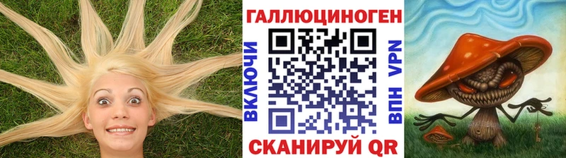 Псилоцибиновые грибы Cubensis где купить наркоту Дятьково