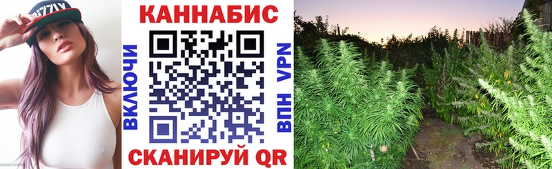 Каннабис семена  закладки  Дятьково 